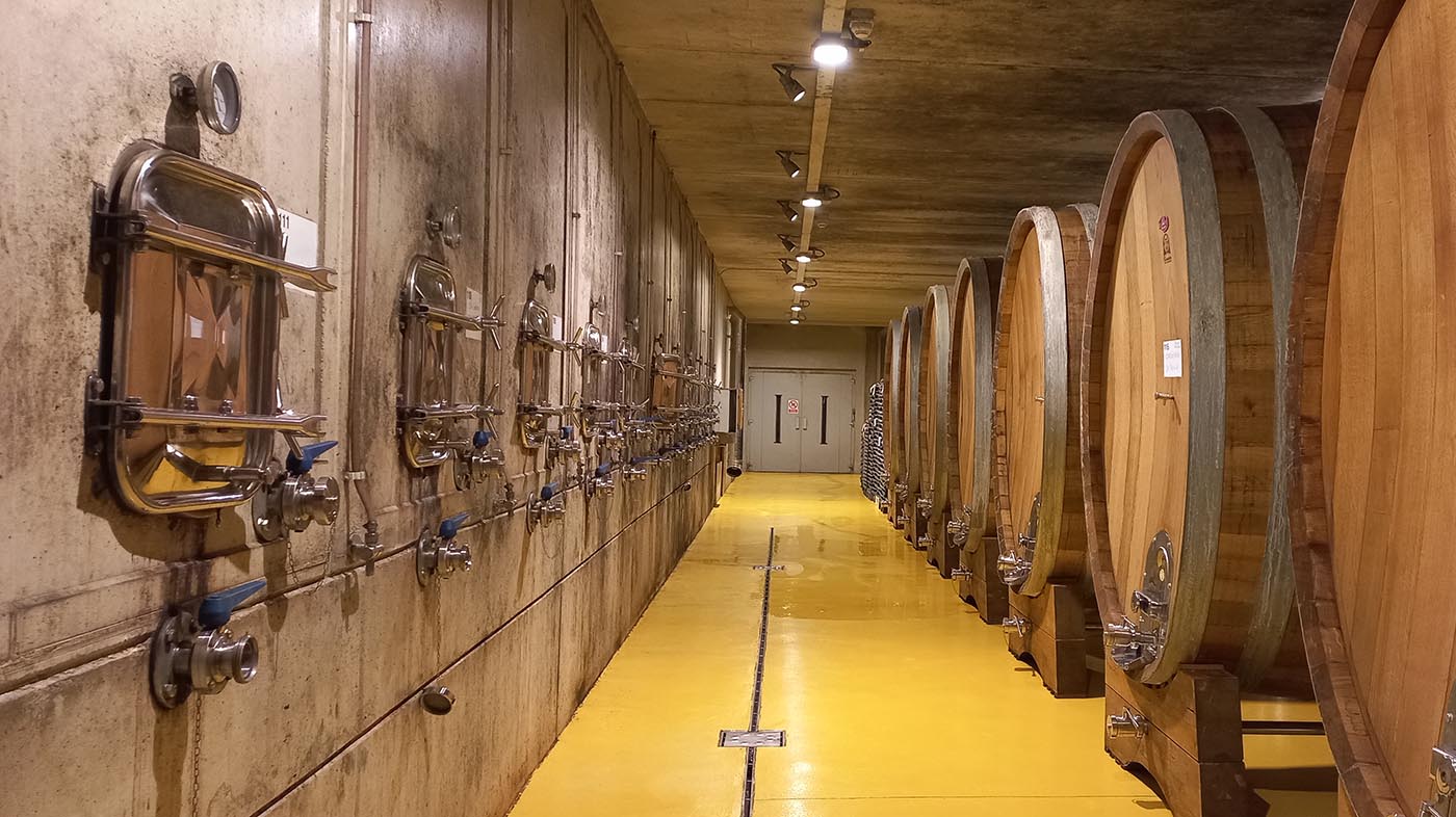 barrels-wine-cellar