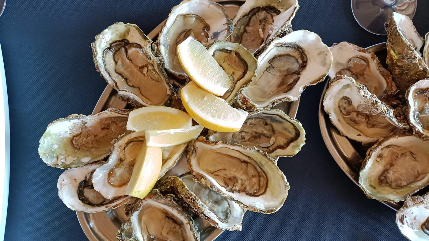 oysters-and-wine