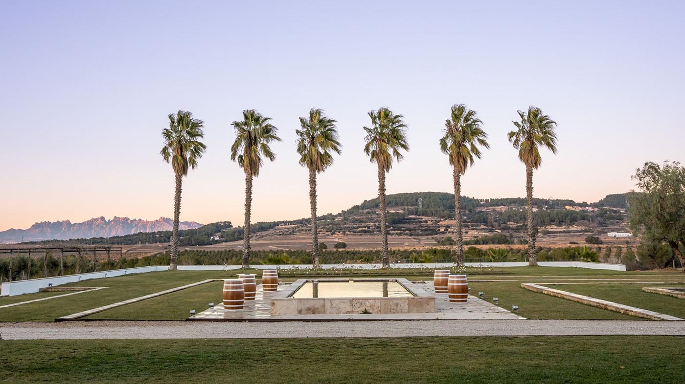 palm-trees-with-barrels