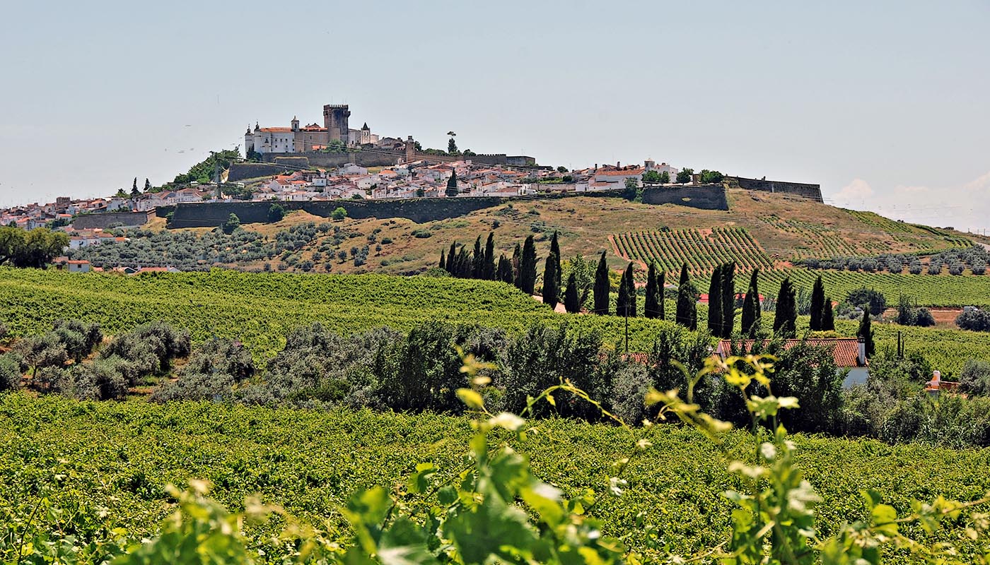 vineyard-village-landscape